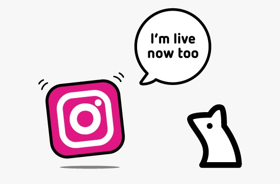 Should your business live-stream on Instagram?